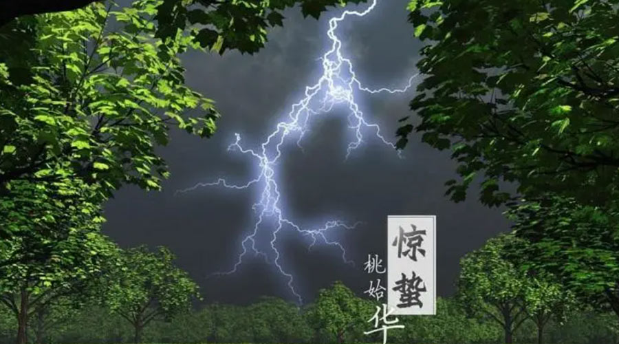 驚蟄時(shí)節！金環(huán)電器提醒大家的注意事項