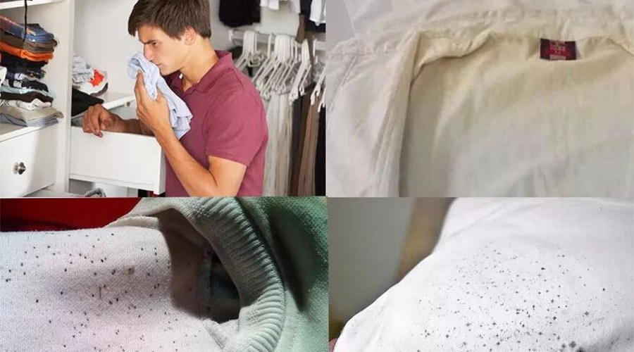 衣服護理小常識：潮濕天衣物有霉味不宜穿  該怎么辦？
