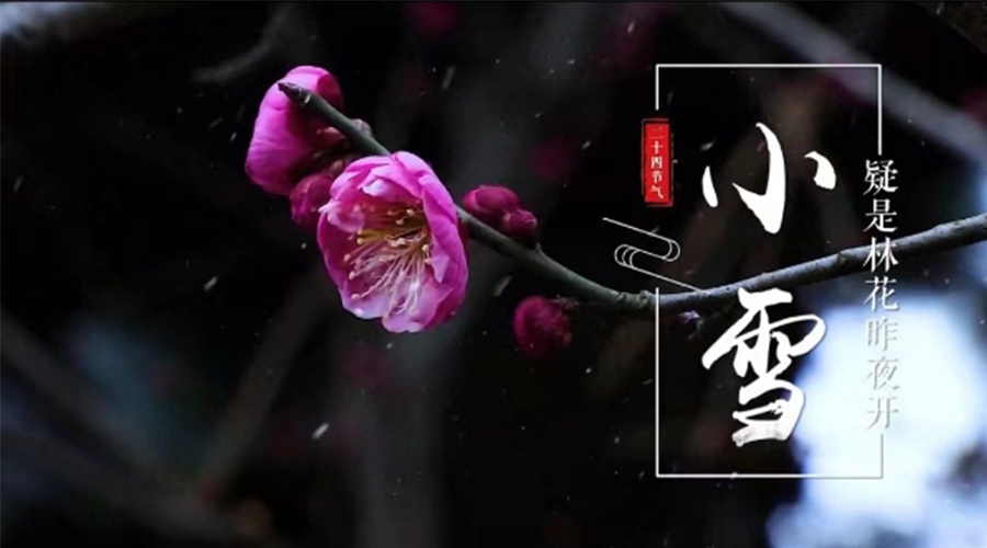 小雪時(shí)節！金環(huán)電器提醒大家要注意的事項