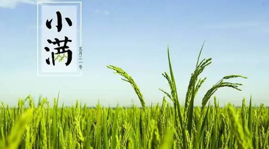小滿(mǎn)時(shí)節！金環(huán)電器提醒大家要注意的事項