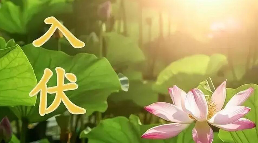 入伏天來(lái)襲！金環(huán)電器提醒大家要注意的事項