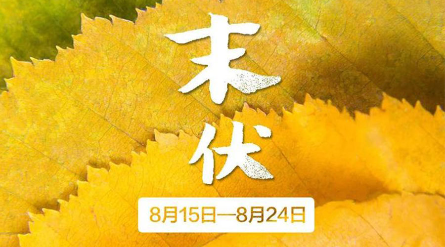 末伏時(shí)節！金環(huán)電器提醒你謹記這些注意事項