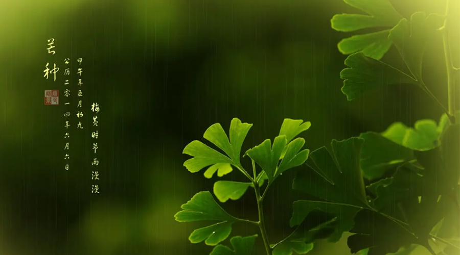 芒種時(shí)節！金環(huán)電器提醒大家的注意事項