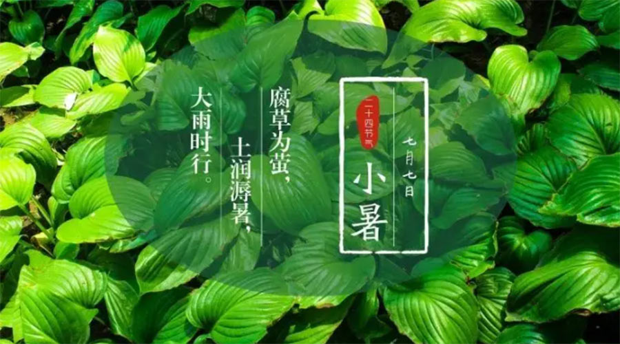 小暑時(shí)節來(lái)到！金環(huán)電器提醒大家要注意的事項