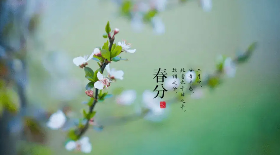 春分雨水多易生菌！金環(huán)電器提醒你衣物要注意處理