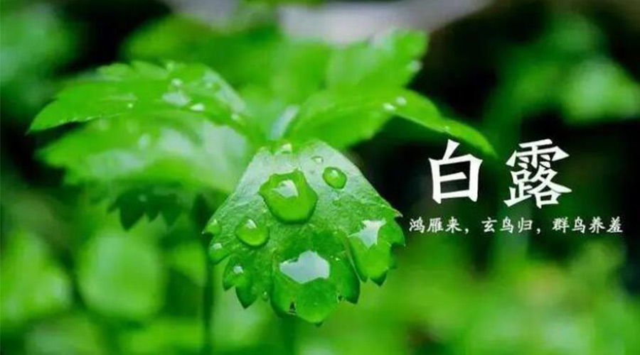 白露時(shí)節！金環(huán)電器提醒大家要注意的事項