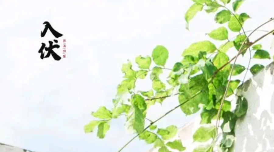 初伏時(shí)節！金環(huán)電器提醒大家要注意的事項