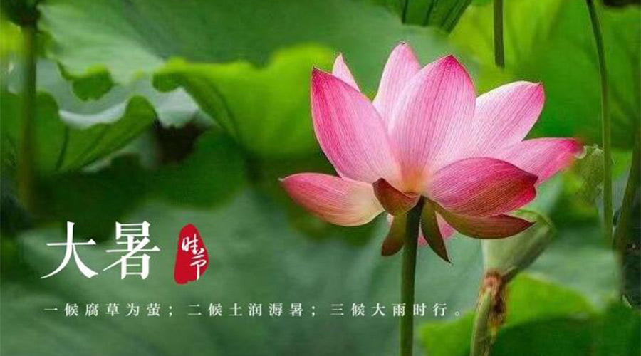 大暑時(shí)節！金環(huán)電器提醒大家要注意的事項