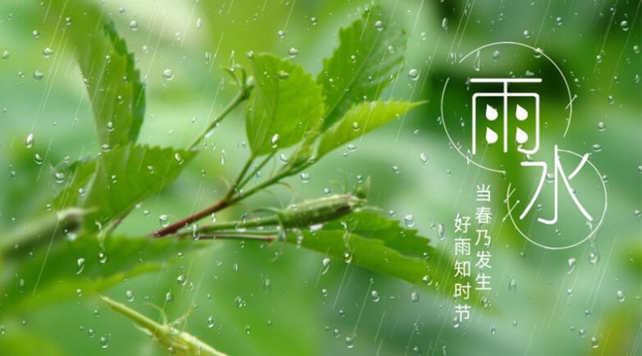 雨水時(shí)節！金環(huán)電器提醒大家要注意的事項