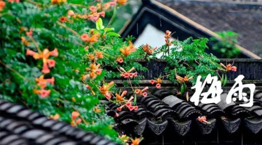 什么是梅雨？梅雨如何形成？  金環(huán)電器告訴你答案