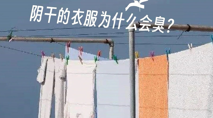 為什么陰干的衣服那么臭  衣物護理機廠(chǎng)家來(lái)告訴你